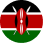 elint-kenya-iot-solution-provider